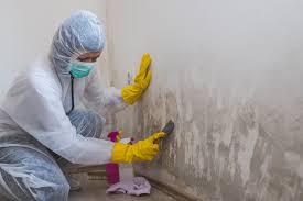 Mold Remediation for Vacation Homes in Hutchins, TX